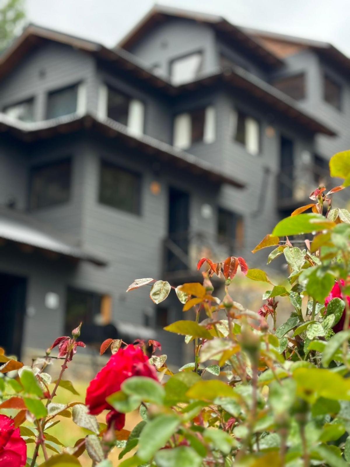 Huilen De Bandurrias Villa San Martin de los Andes Ngoại thất bức ảnh