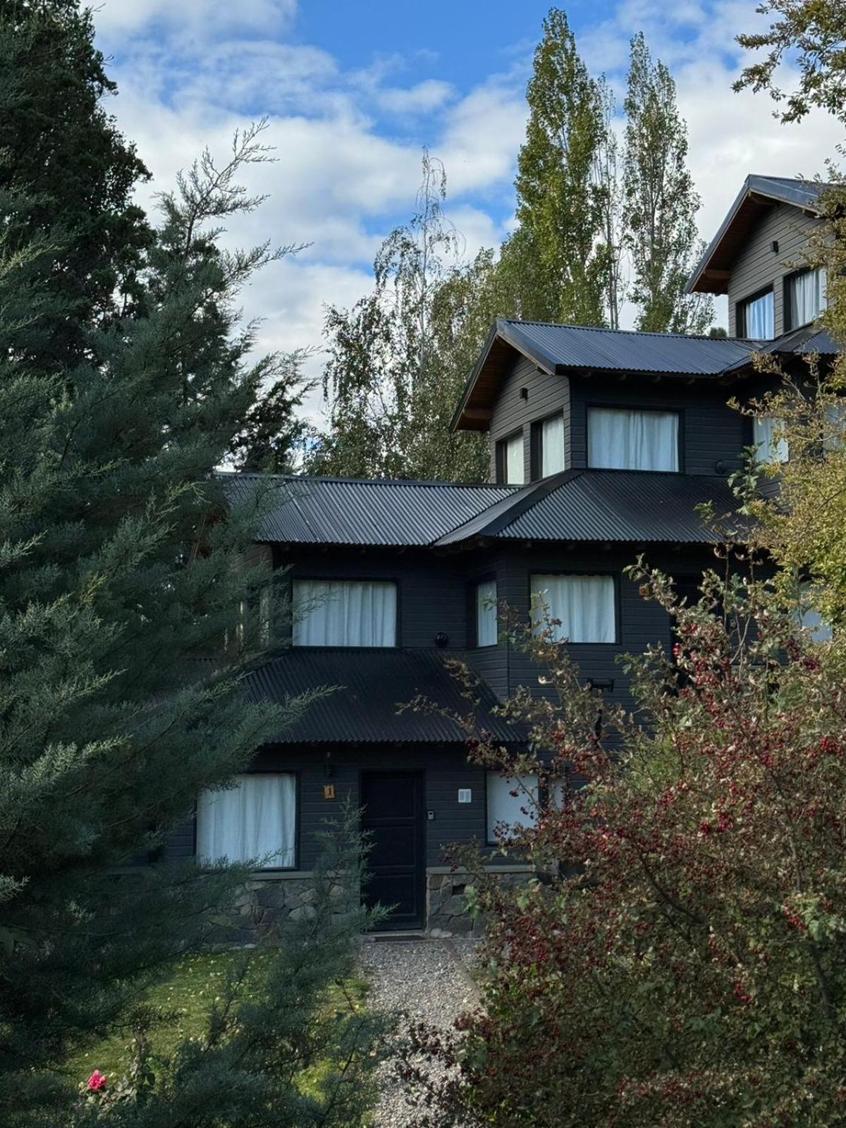Huilen De Bandurrias Villa San Martin de los Andes Ngoại thất bức ảnh