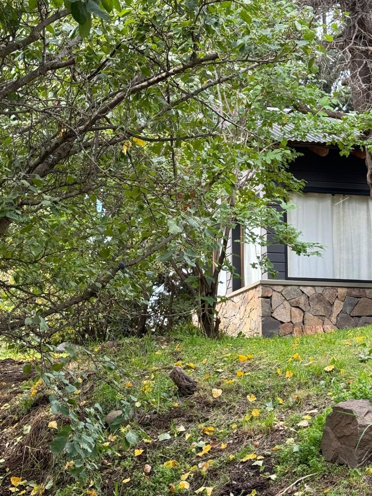 Huilen De Bandurrias Villa San Martin de los Andes Ngoại thất bức ảnh
